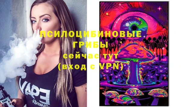 кокс Бородино