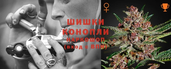 кокс Бородино