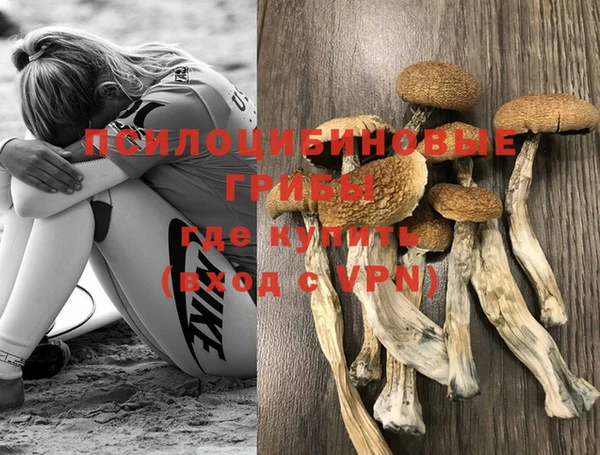 кокс Бородино